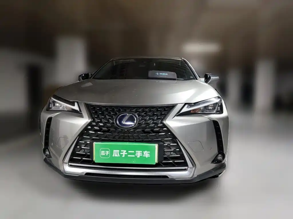 صورة 24 - Lexus UX Electric