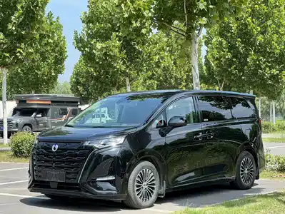 Denza D9