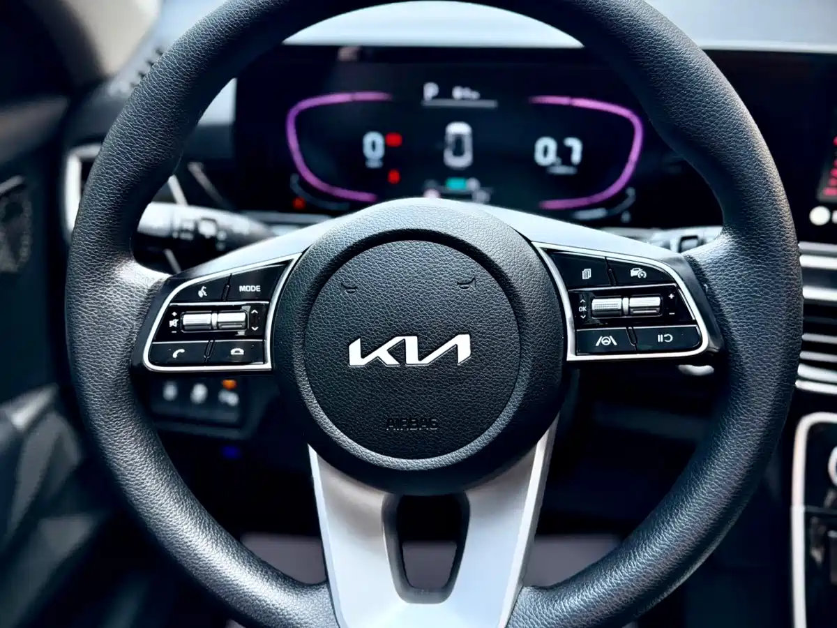 Kia Seltos 2023 1.5L CVT Luxury Edition фото 20