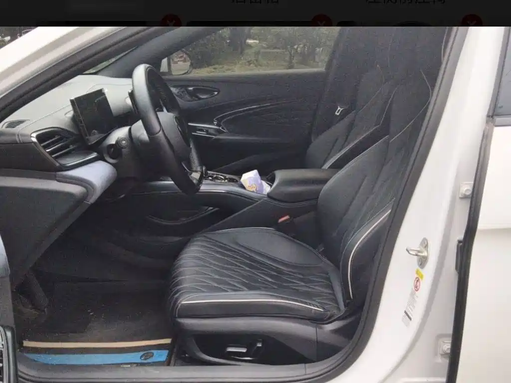 BYD Seal 2024 2023 Champion Edition 550km Elite