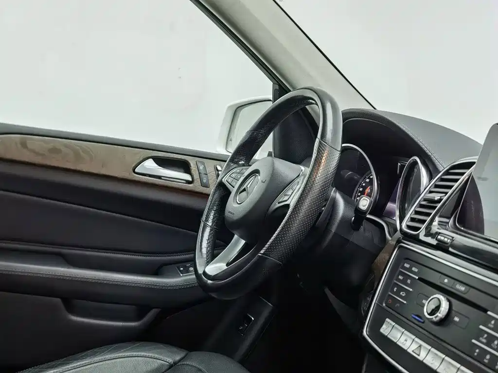 صورة 22 - Mercedes-Benz GLE