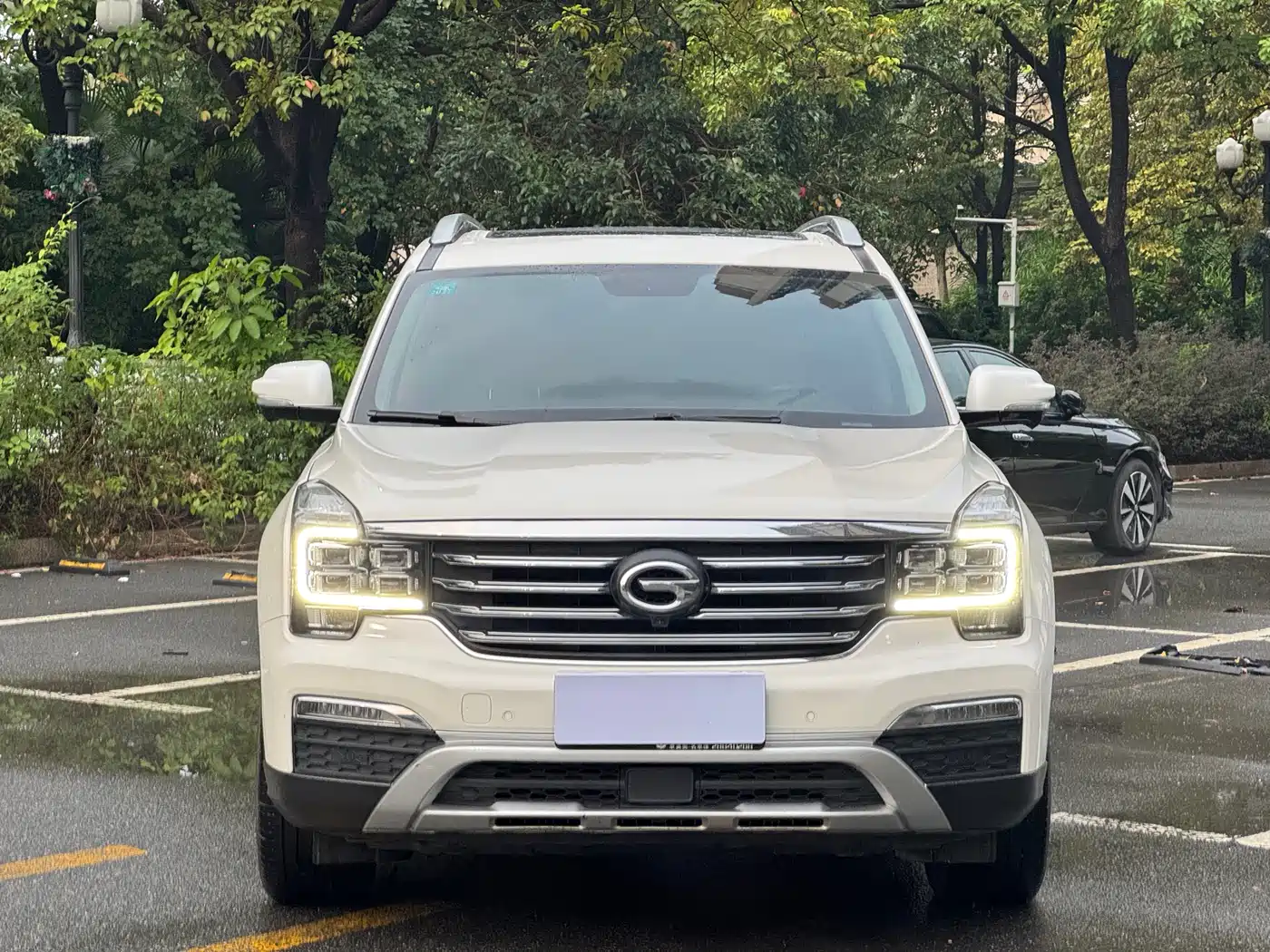 GAC Trumpchi Trumpchi GS8 2019 390T 2WD Luxury Smart Connect Edition (7-seater) фото 2
