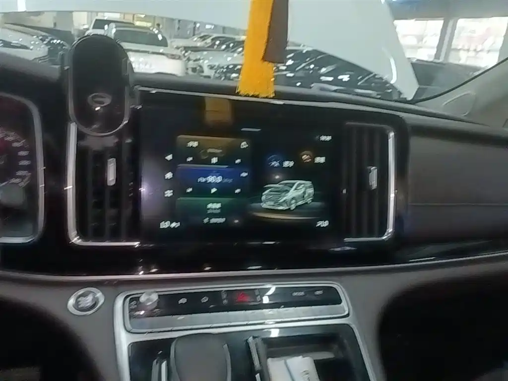 GAC Trumpchi Trumpchi M8 2021 Leading Show Series 390T Luxury Edition фото 13