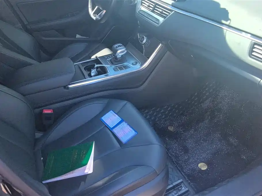 Hongqi H5 2022 Classic Facelift 1.8T Automatic Smart Connect Flag Rhythm Edition фото 8