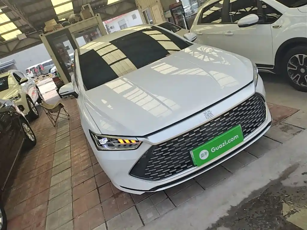 BYD Qin PLUS 2024 Glory Edition DM-i 55KM Leading фото 4