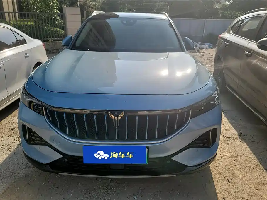 Voyah Auto VOYAH FREE 2021 4WD Extended Range Launch Edition Exclusive Luxury Package фото 2