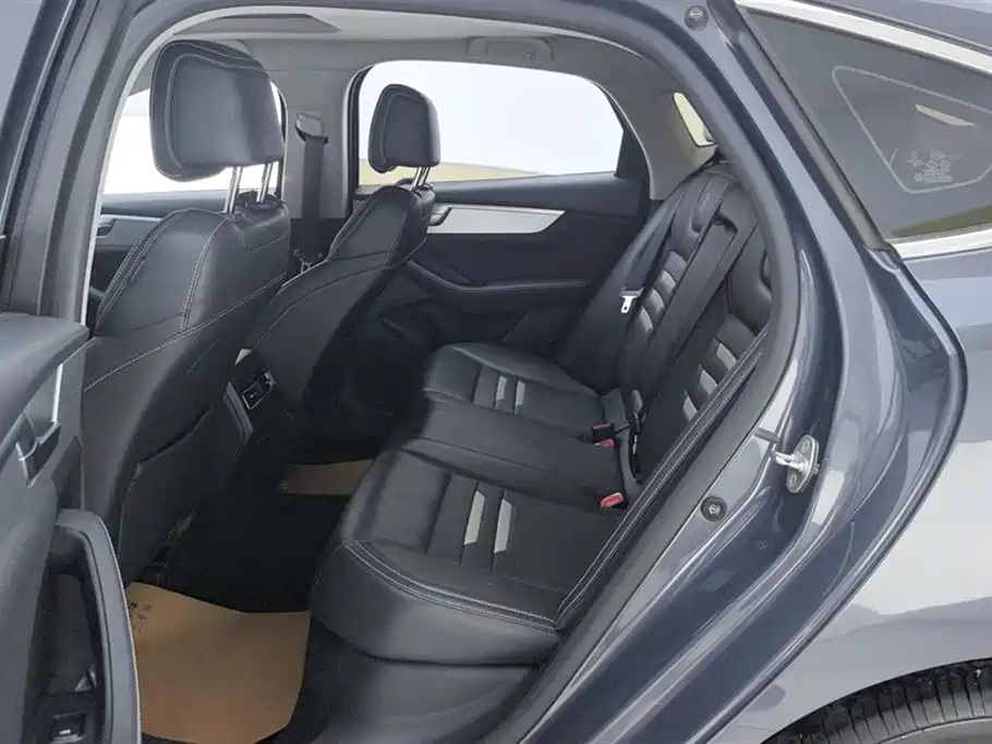 BYD Qin Pro New Energy 2019 DM Super Edition 1.5TI Automatic Smart Connect Enjoy China VI фото 11