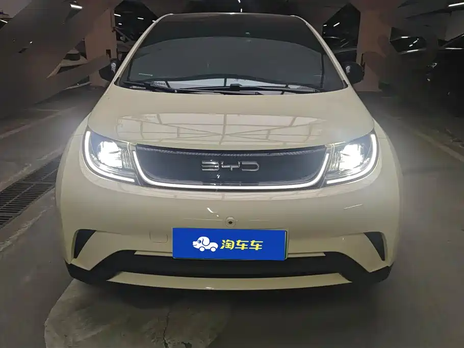 BYD Dolphin 2021 Model 405km Fashion Edition фото 2