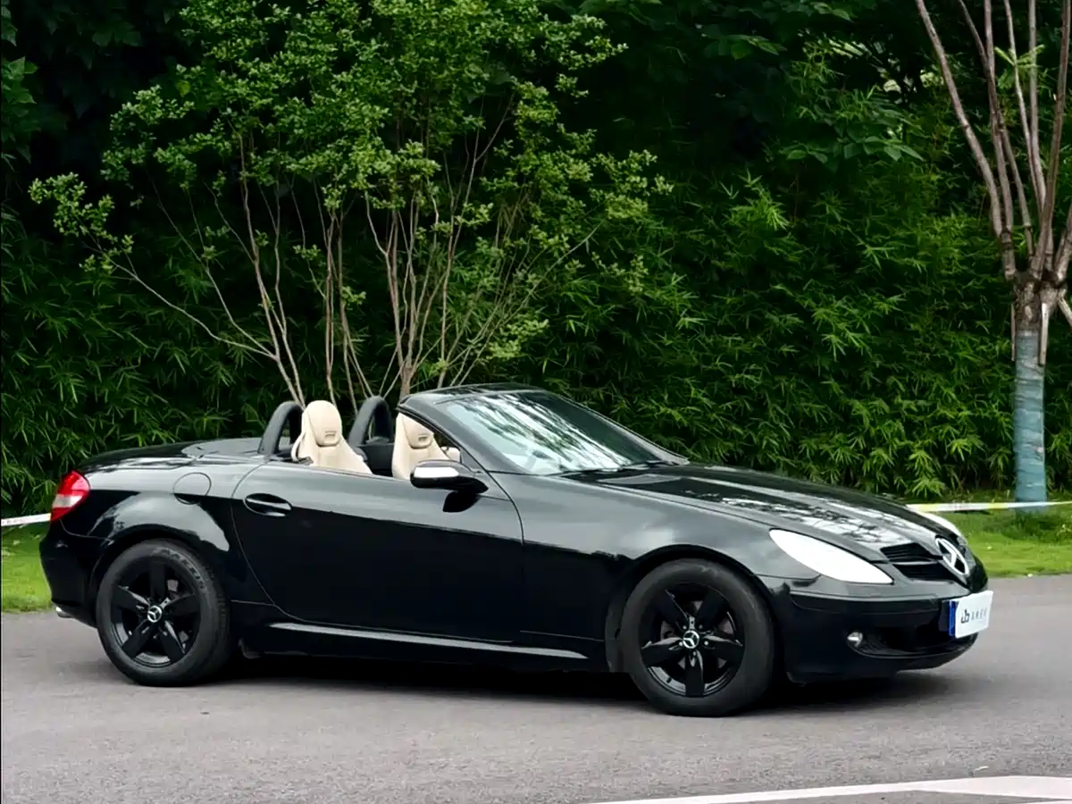 Mercedes-Benz SLK-Class 2004 SLK 200K фото 5