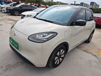Wuling Bingo