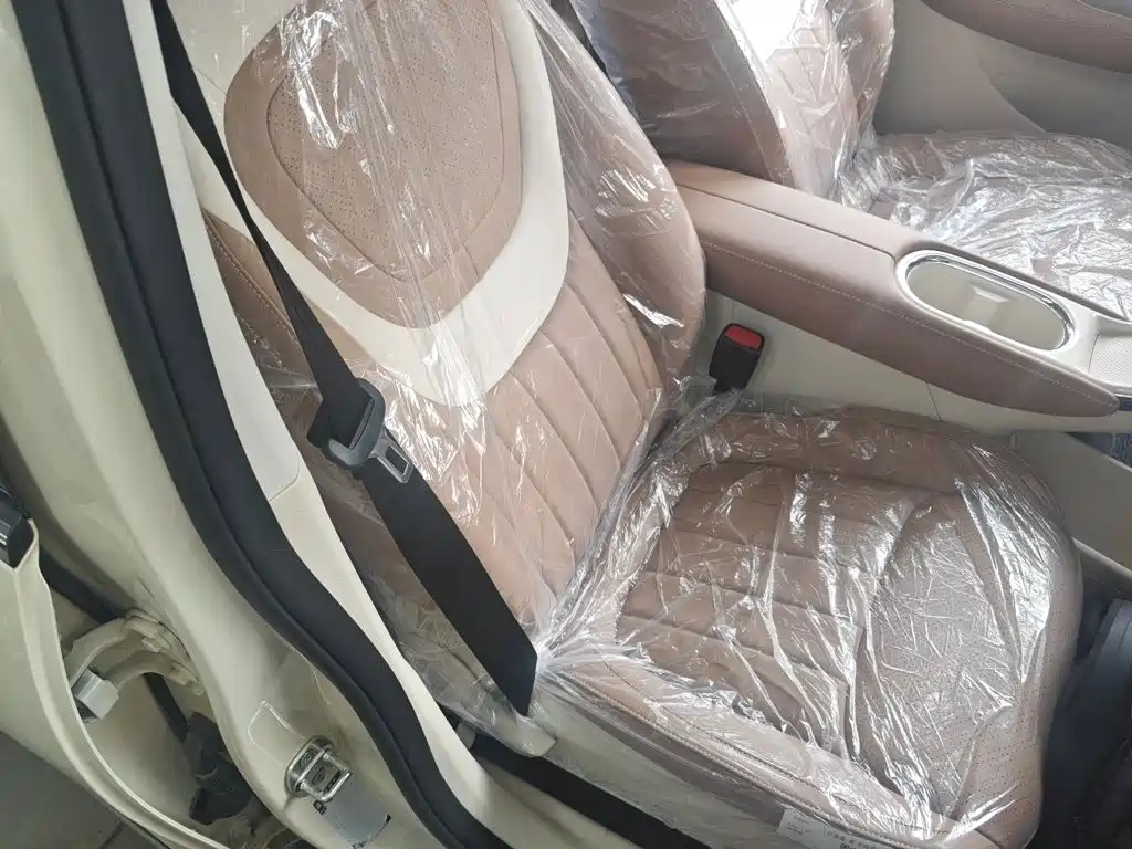 Wuling Motors Wuling Bingo 2026 2025 Model 333km Joy Edition