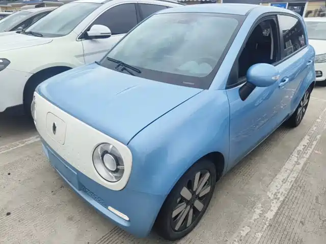 Ora Black Cat 2019 310km Smart Edition