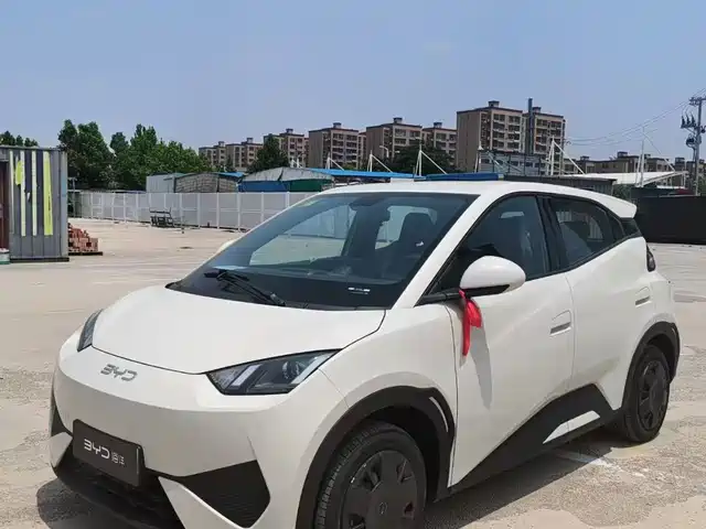 BYD Seagull Система помощи водителю, 305km, Энергия