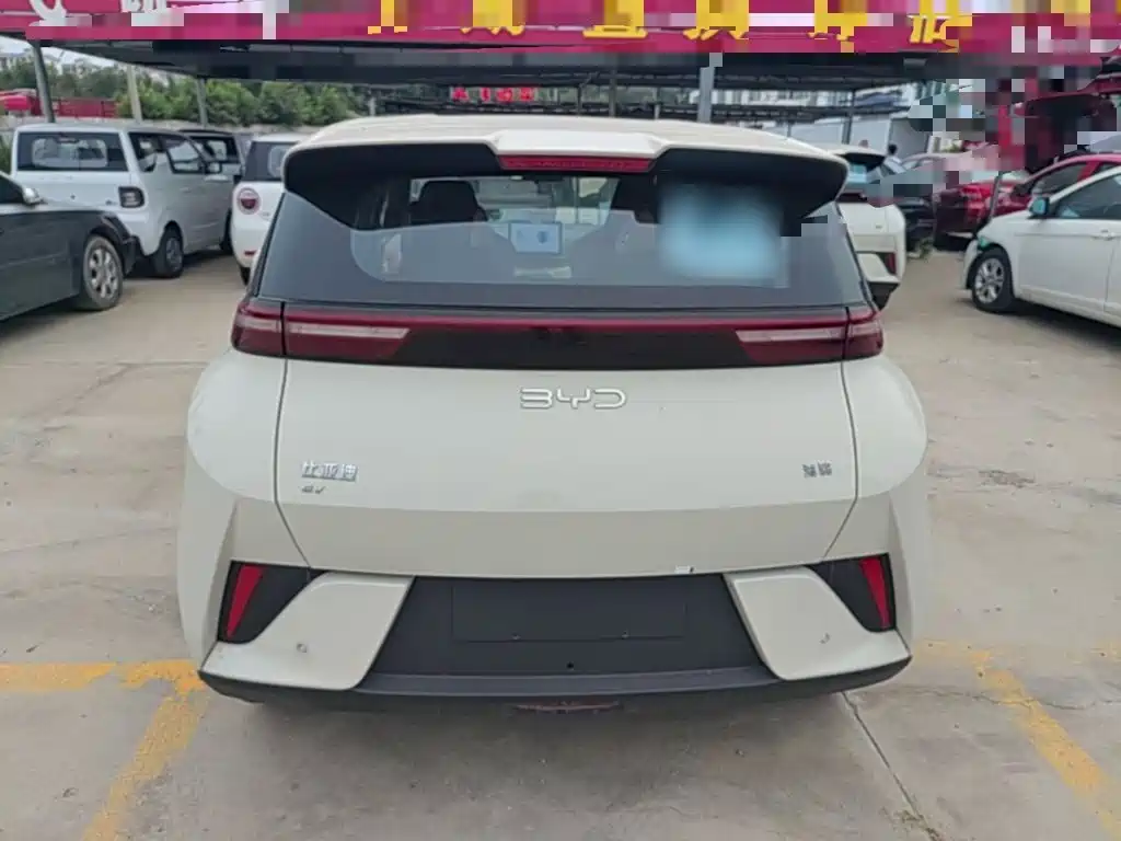 BYD Seagull 2026 2025 Smart Drive Edition 305km Vitality Version