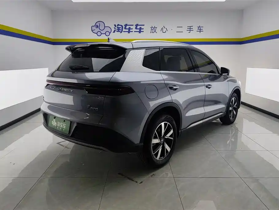 BYD Song Pro New Energy 2024 Glory Edition DM-i 71KM Pilot фото 3