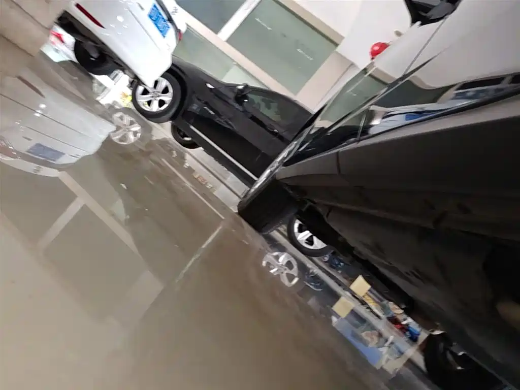 Lexus RX 2016 300 2WD Elite Edition (China V) фото 22
