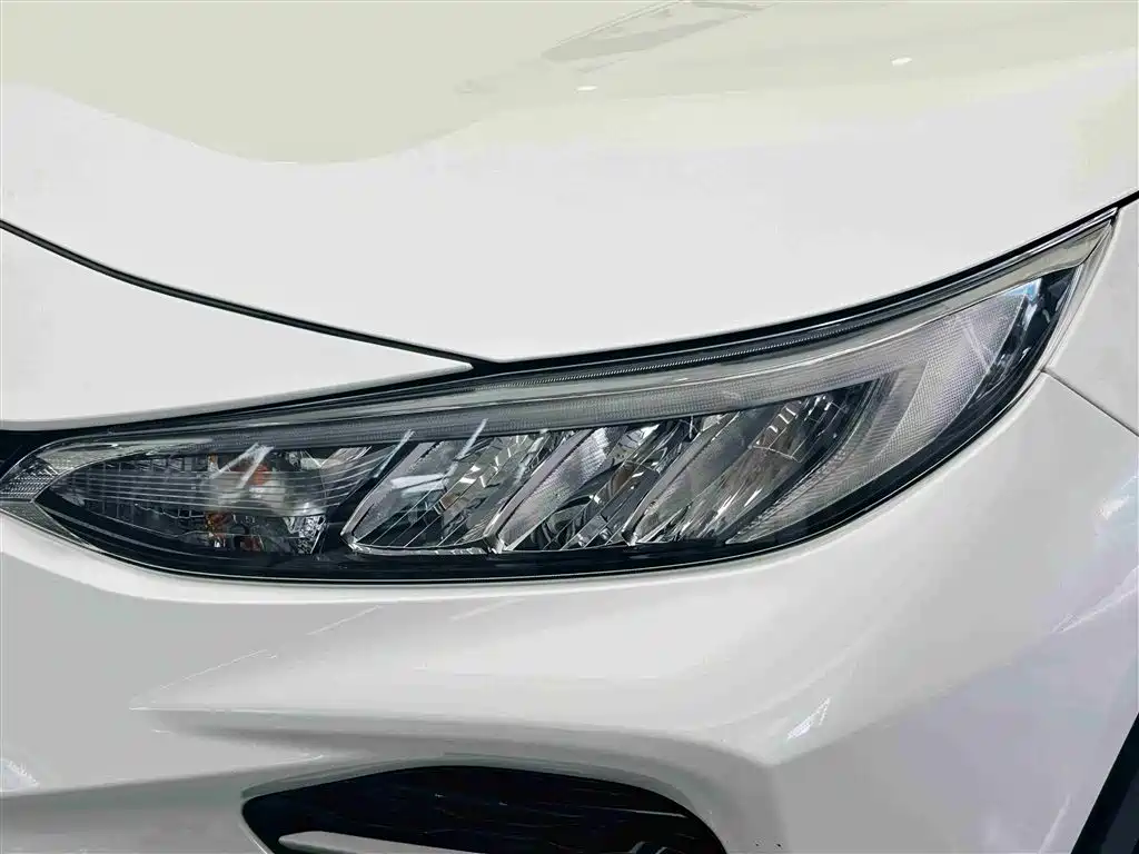 Toyota Wildlander 2021 2.0L CVT 2WD Luxury Edition фото 11
