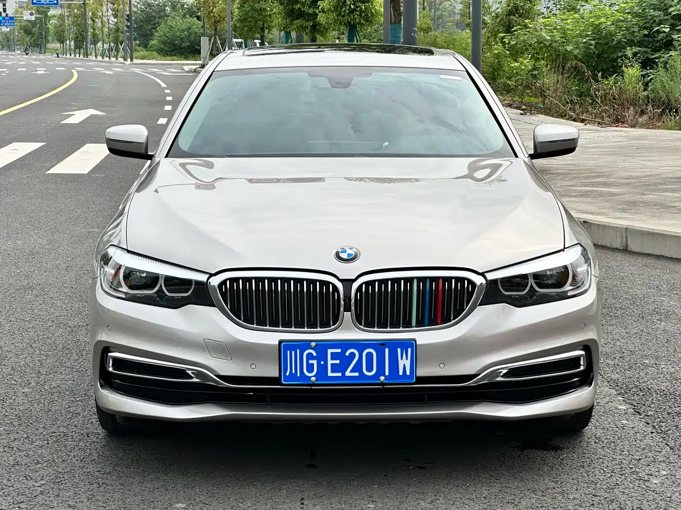 BMW 5 Series 2019 530Li Leading Luxury Package фото 2