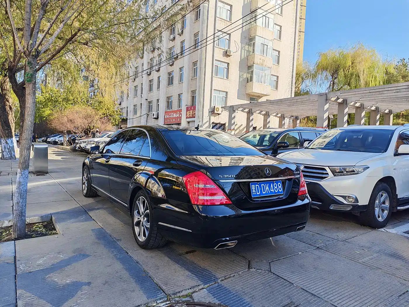 Mercedes-Benz S-Class 2010 S 300 L Premium фото 5