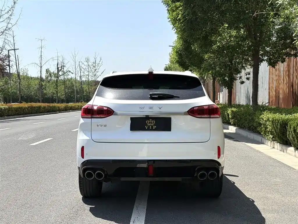 WEI PAI WEI BRAND VV6