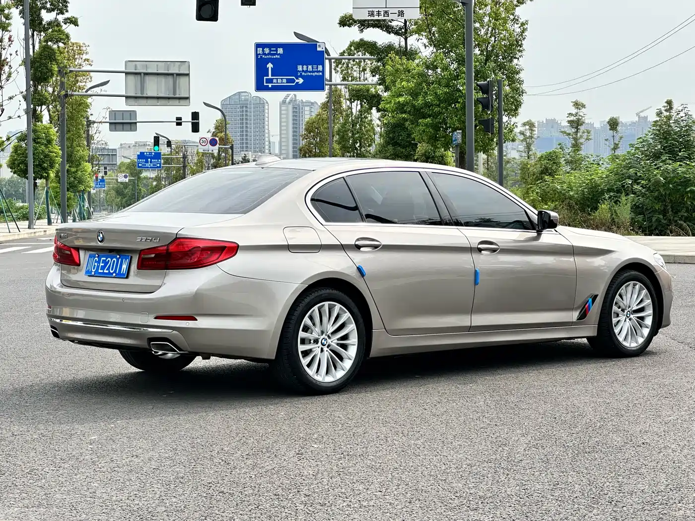 BMW 5 Series 2019 530Li Leading Luxury Package фото 7