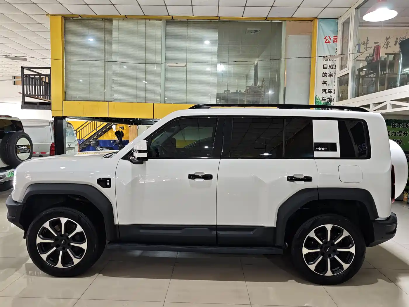 FANG CHENG BAO LEOPARD 5