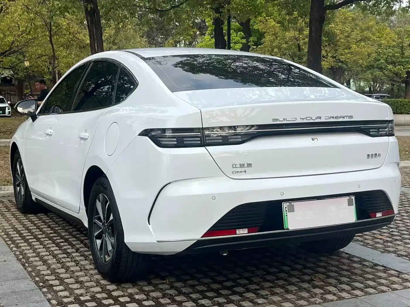 BYD Destroyer 05 2024 2024 Glory Edition DM-i 55KM Luxury