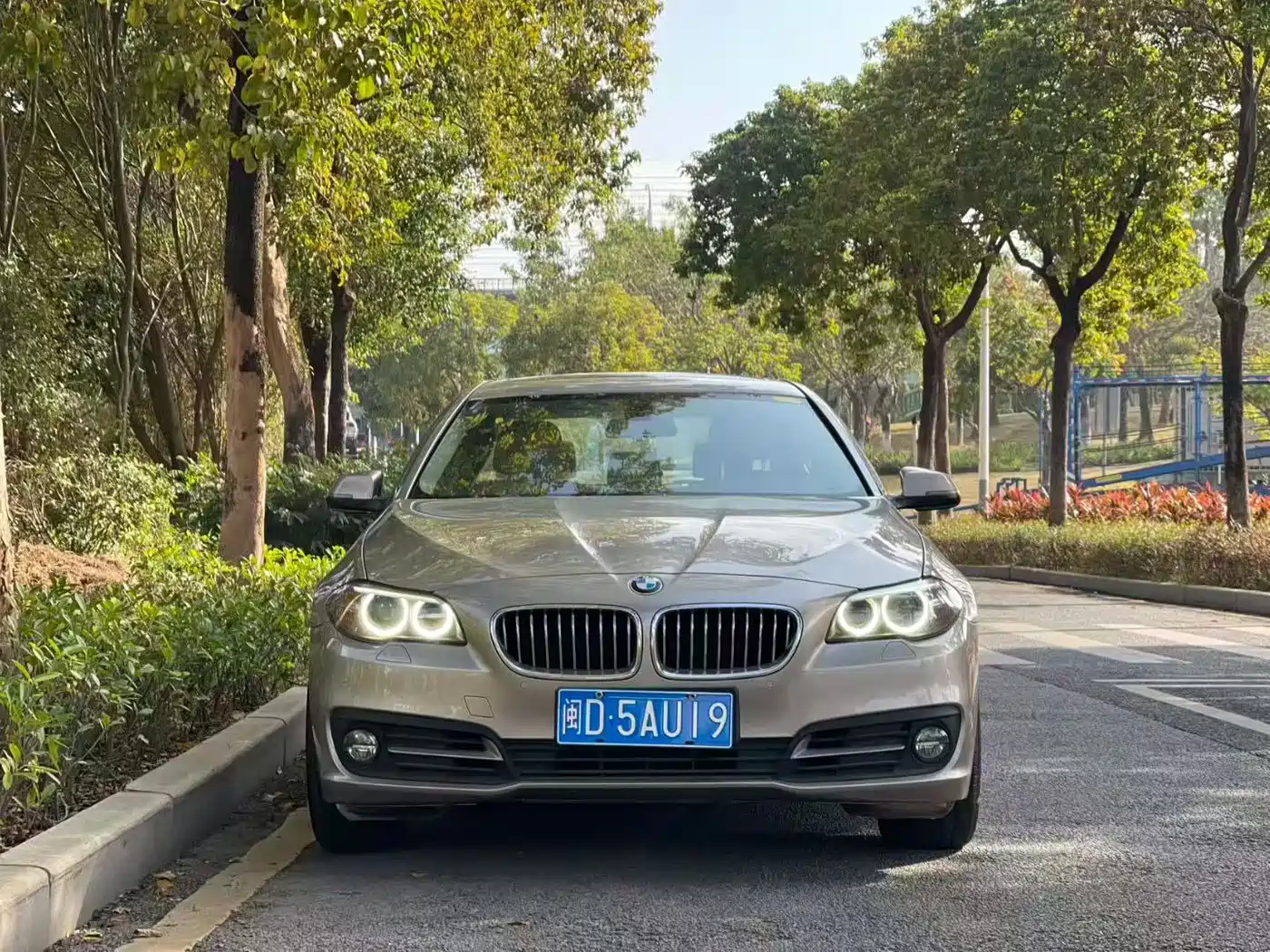 BMW 5 Series 2014 525Li Leading фото 2
