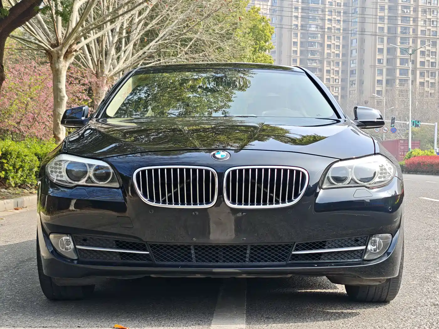 BMW 5 Series 2012 523Li Luxury фото 3