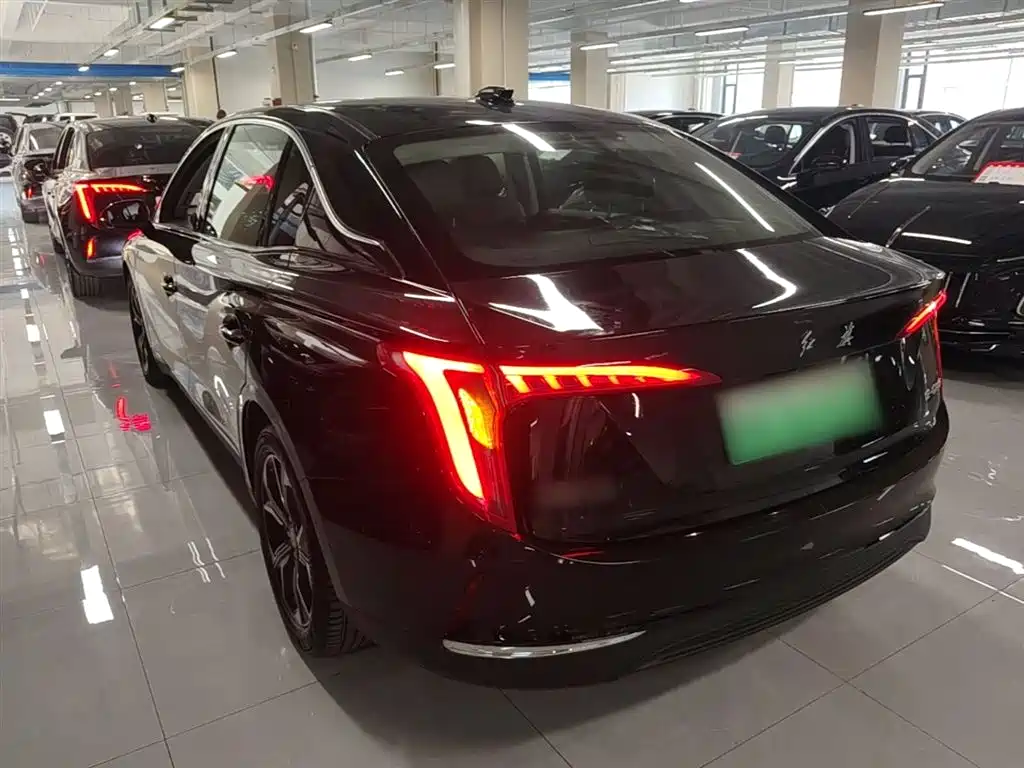 Hongqi E-QM5 2023 Facelift Basic Travel Edition фото 5