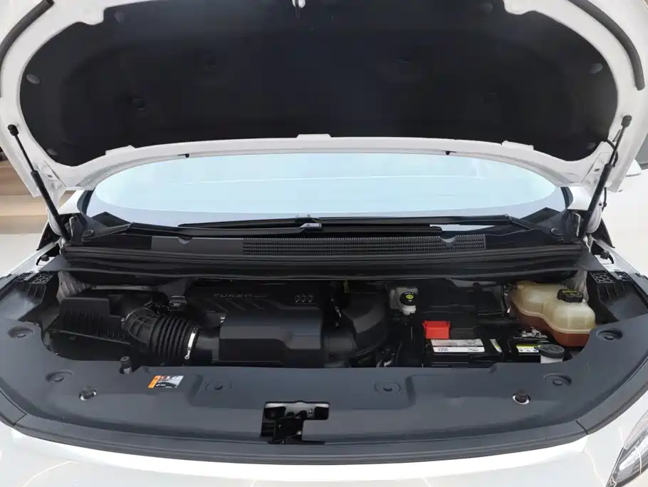 Buick Century 2025 2025 2.0T 6-Seater World Edition