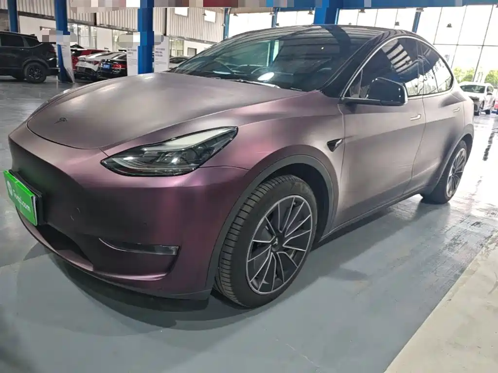 Tesla Model Y 2021 Standard Range Rear-Wheel Drive