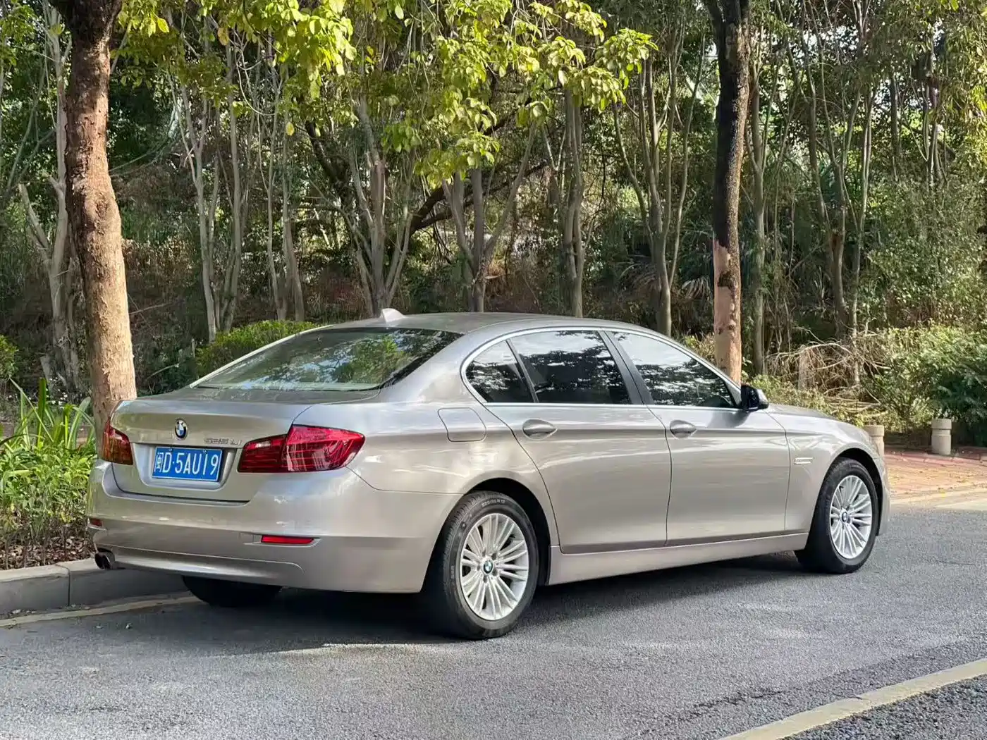 BMW 5 Series 2014 525Li Leading фото 6
