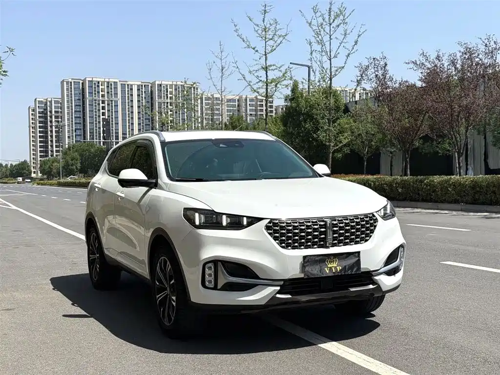 WEI PAI WEI BRAND VV6