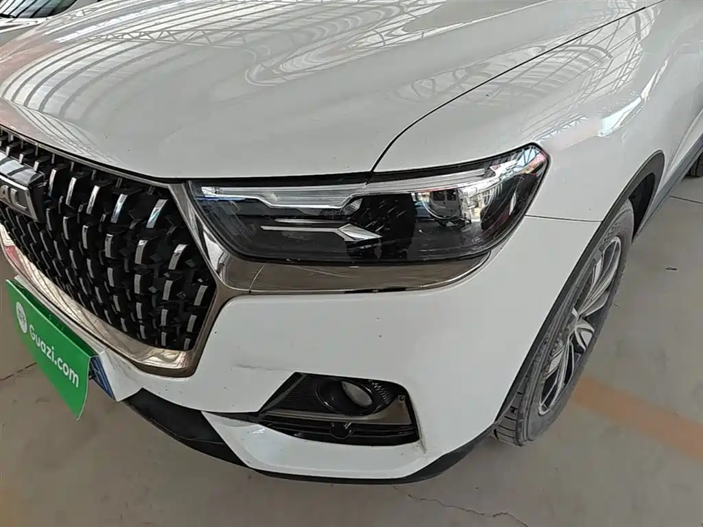 Haval H6 2023 National Trend Edition 1.5T Automatic Champion фото 24