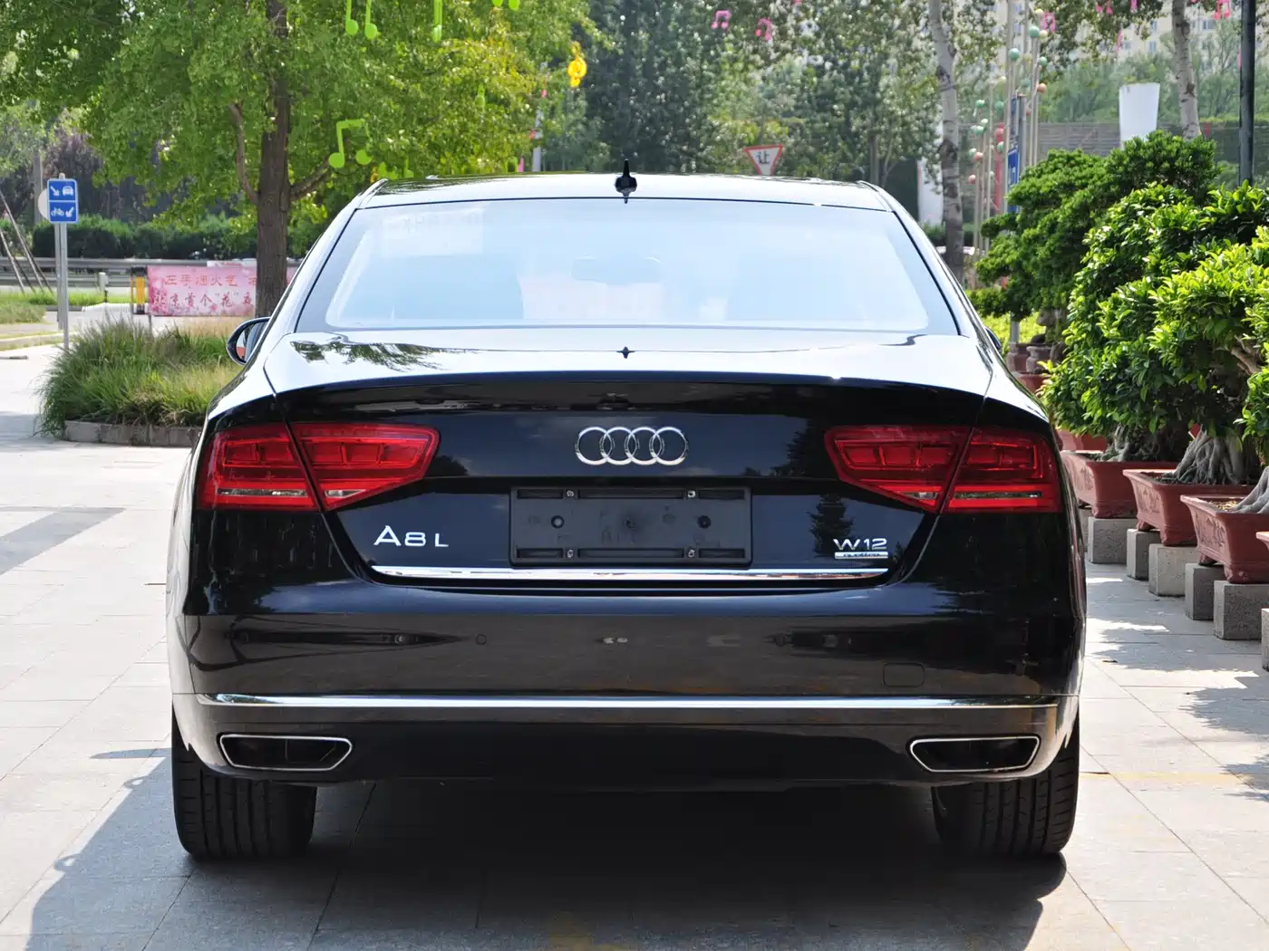 Audi A8 2012 A8L 6.3 FSI W12 quattro фото 5