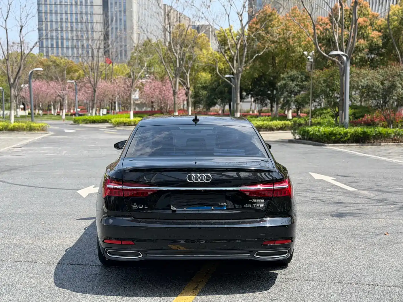 Audi A6L 2021 40 TFSI Luxury Elegance фото 8