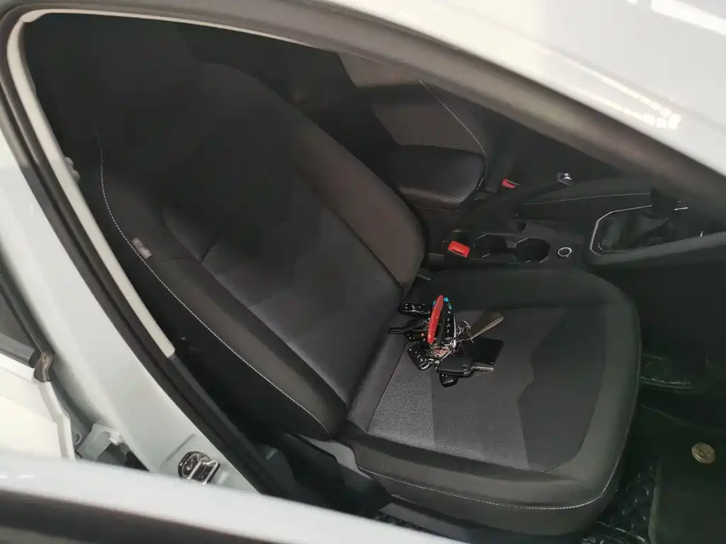 Volkswagen Polo 2023 2023 Plus 1.5L Auto Joyful Living Edition