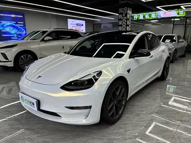Tesla Model 3 2021 Performance High-Performance All-Wheel Drive 3D6