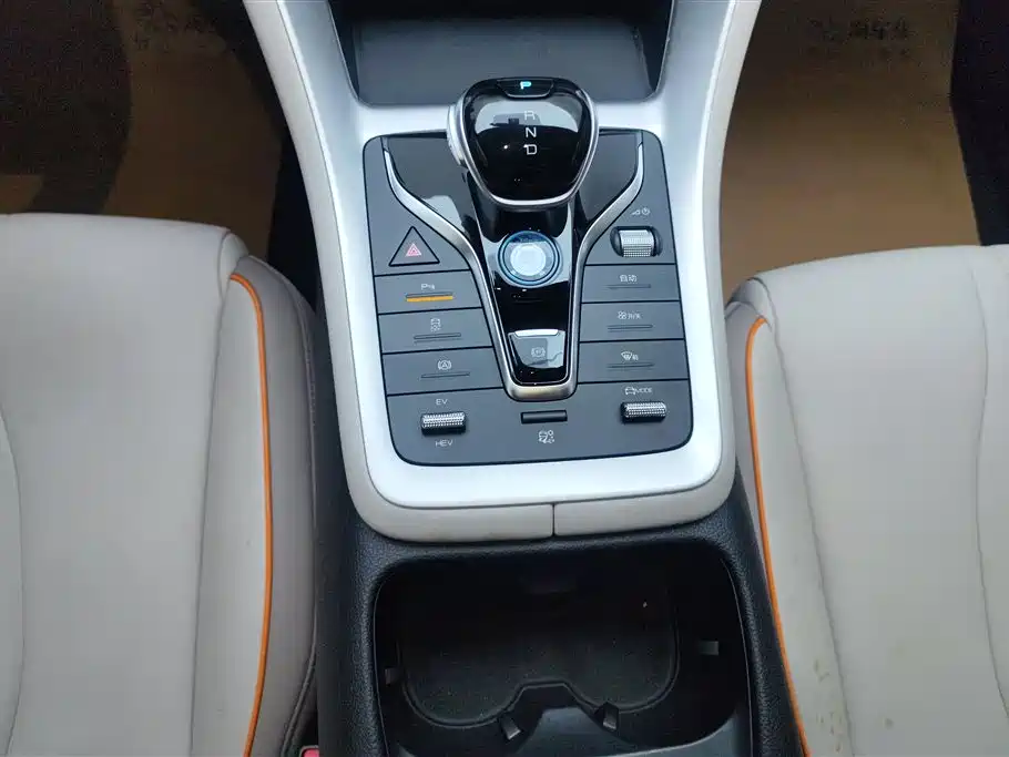BYD Song Pro New Energy 2024 Glory Edition DM-i 71KM Pilot фото 16