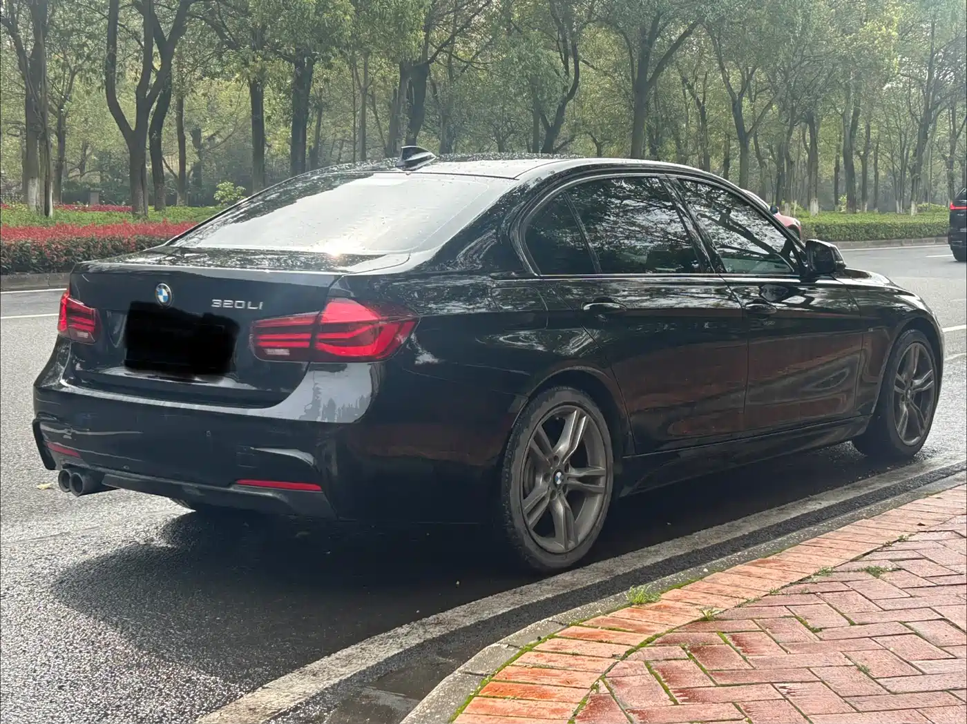 BMW 3 Series 2019 320Li M Sport Black Night Edition фото 6