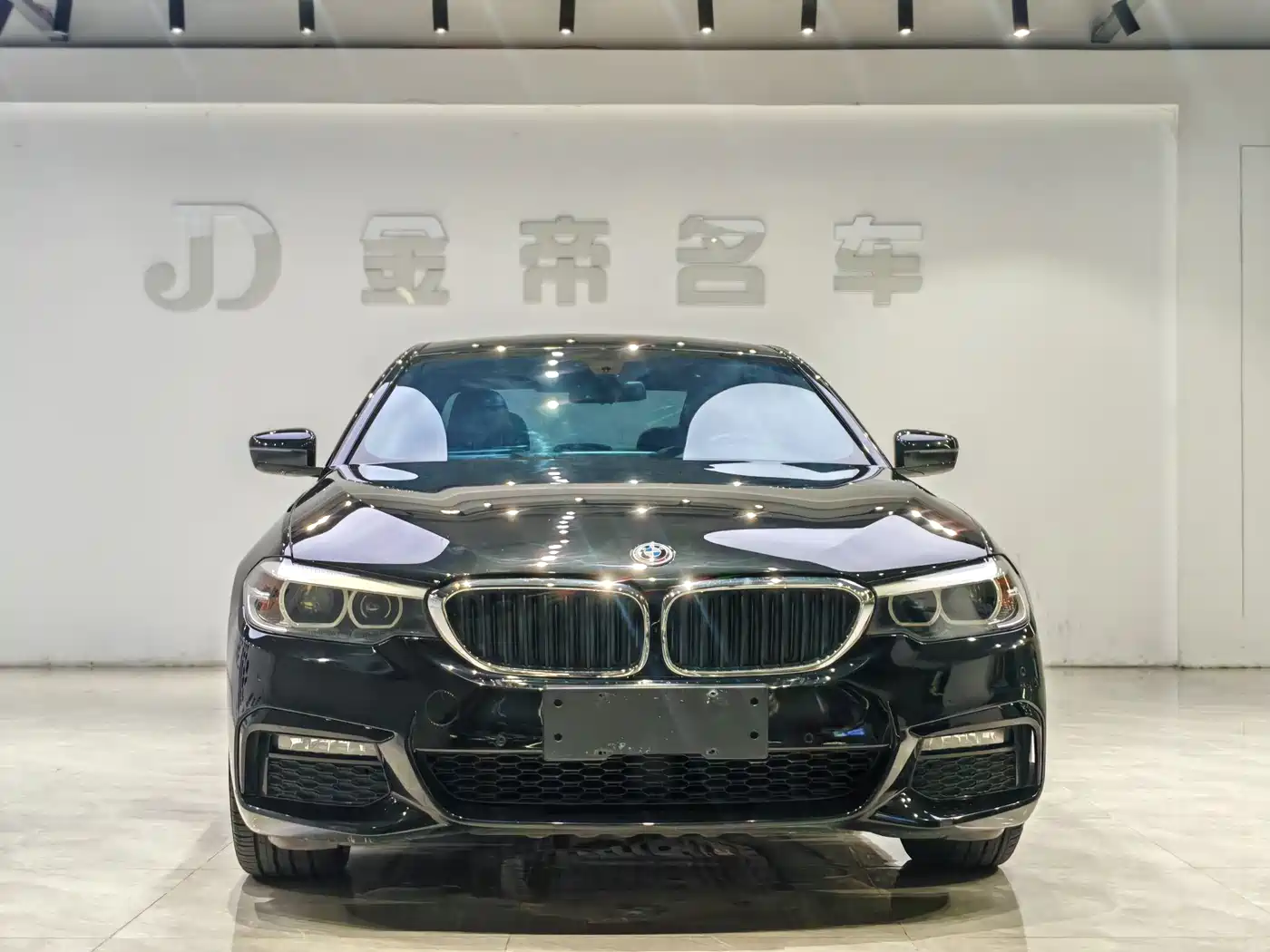 BMW 5 Series 2019 530Li Leading M Sport Package фото 2