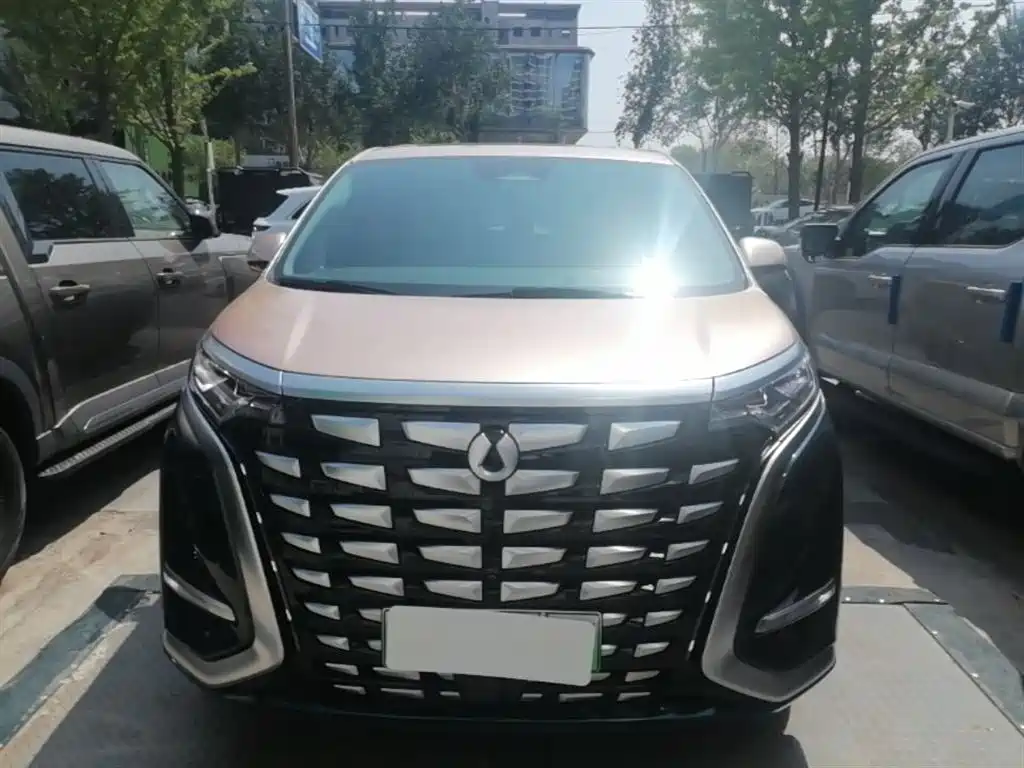 Denza D9 2022 DM-i 970 AWD Flagship фото 3