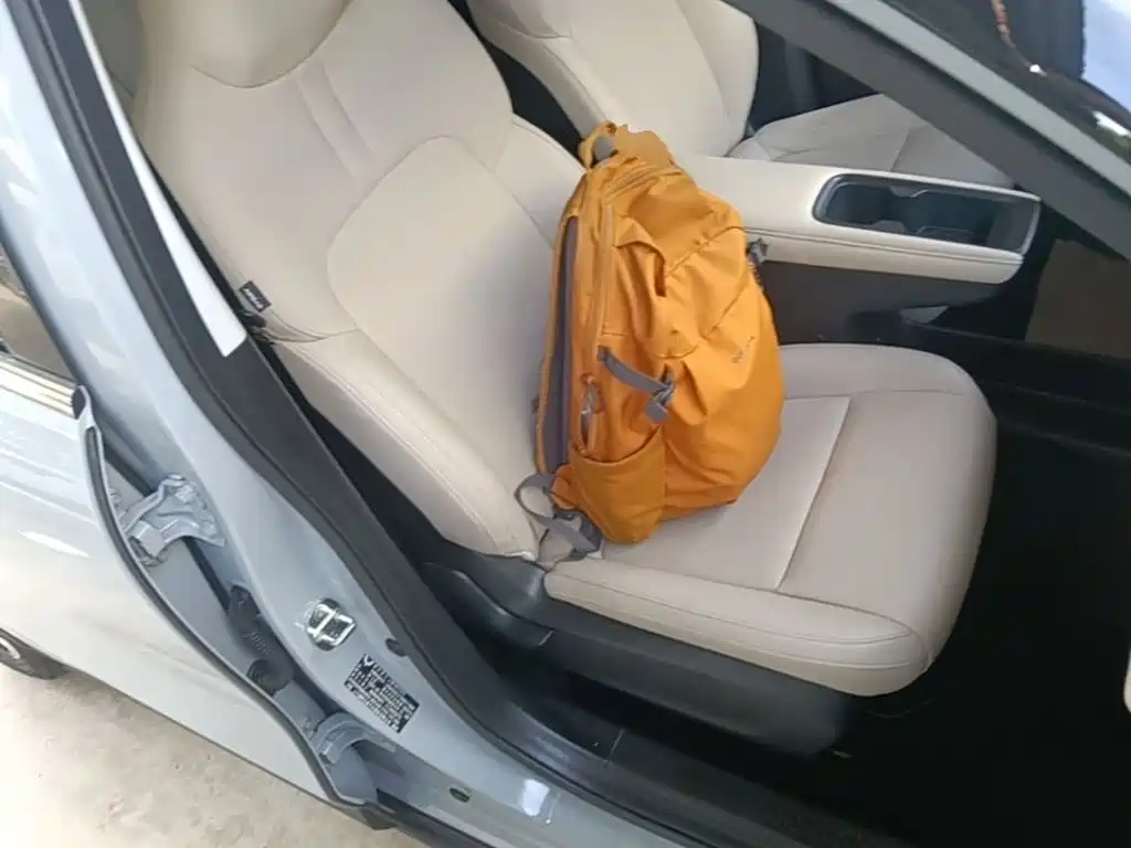 Фото 25 - Wuling Motors Wuling Binguo PLUS