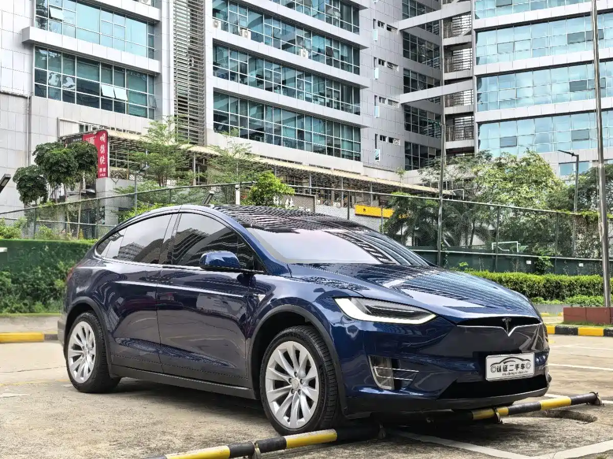 Tesla Model X 2017 2017 Model X 100D Long Range