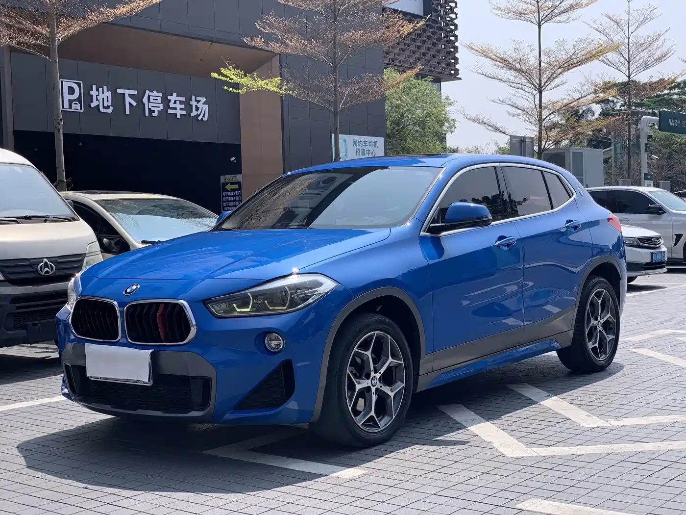 BMW X2 (Import) 2019 sDrive20i M Off-Road Package China VI