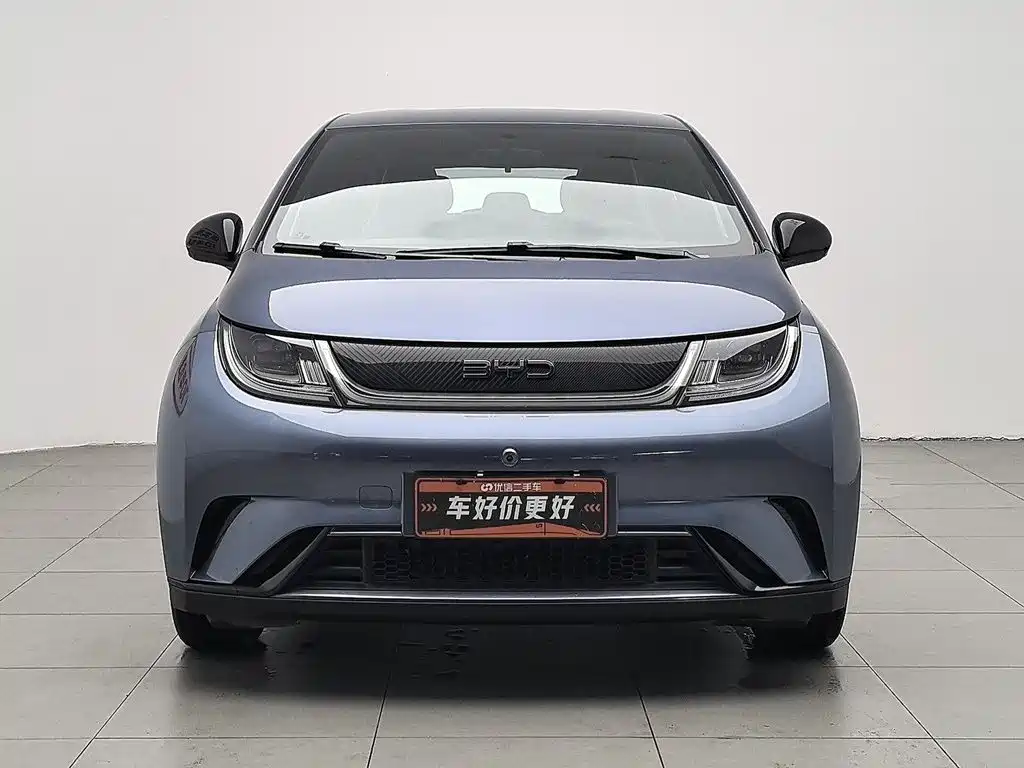BYD Dolphin 2026 2025 420km Freedom Edition