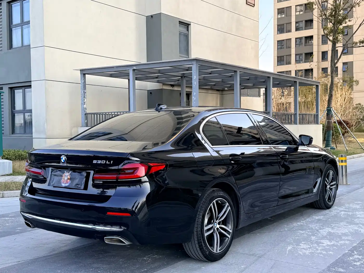 BMW 5 Series 2021 530Li Leading Luxury Package фото 14
