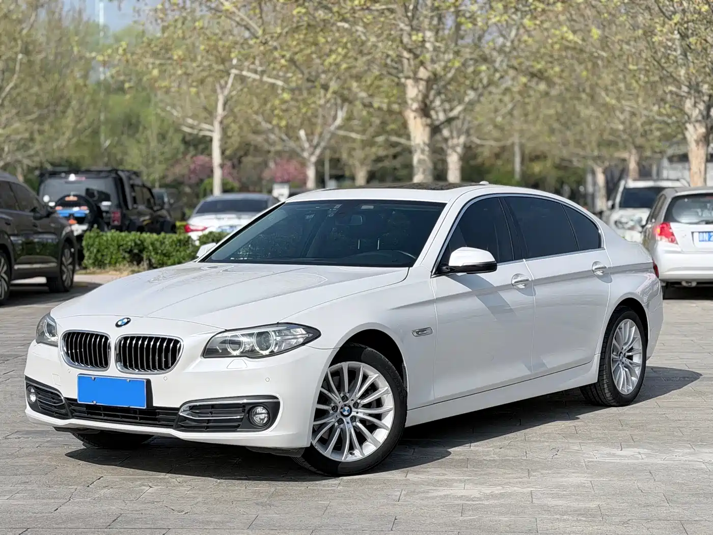BMW 5 Series 2017 525Li Luxury Design Package