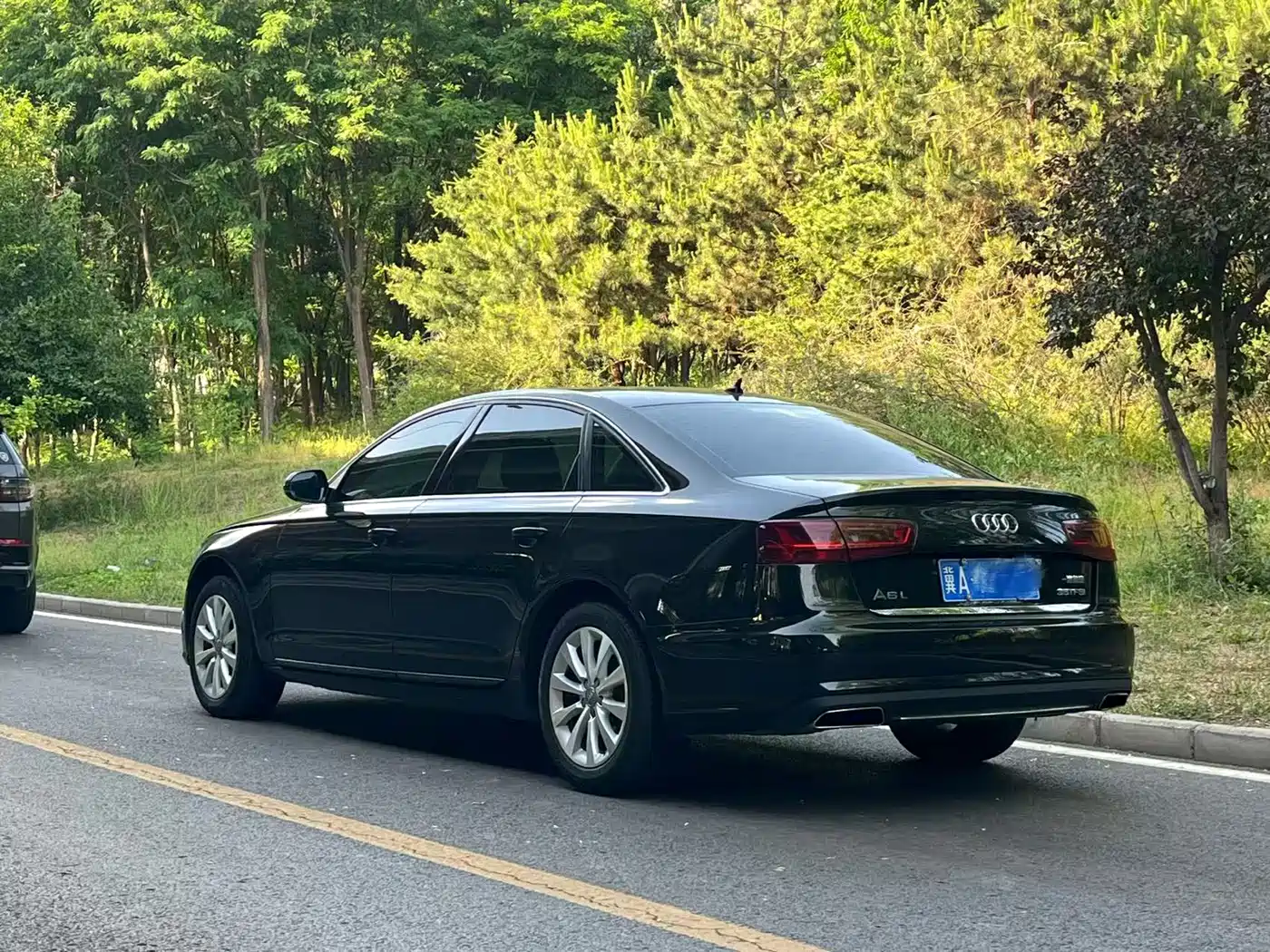 Audi A6L 2014 TFSI Standard фото 11